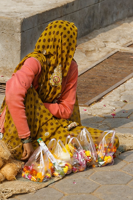 Sur la route d'Orchha-116